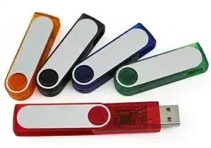 USB Swivel 200 Series Hard Drive - 2 GB