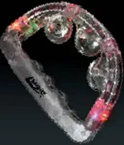 5 Day Imprinted Light Up Tambourine