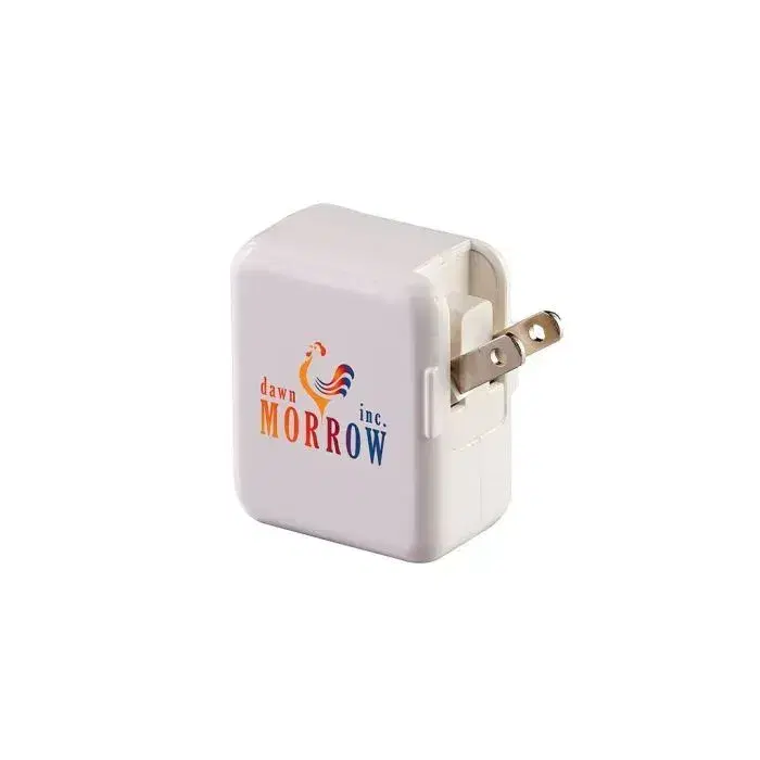 Customized Dual Port AC to USB Adaptor