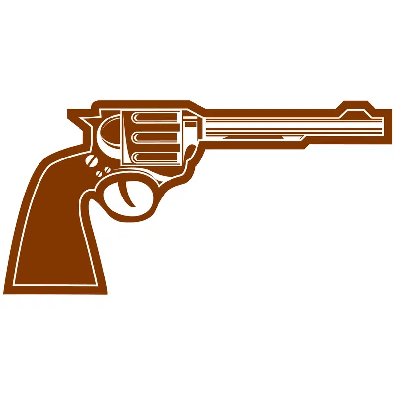 12" Foam Gun