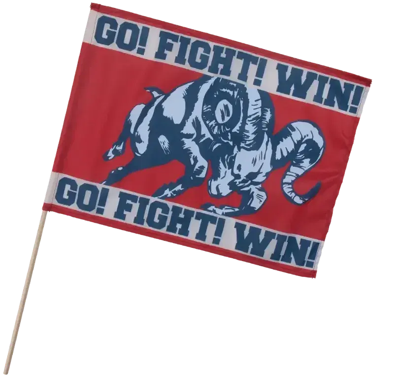 Full Color Fan Flag (14"x19")