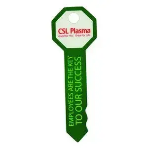 Key Shaped PVC Key Tag