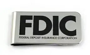 Printed Money Clip
