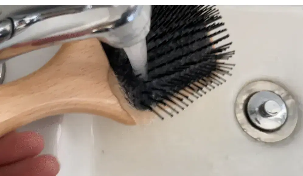 How to Clean A Hairbrush? StepbyStep Guide for a Clean Scalp and