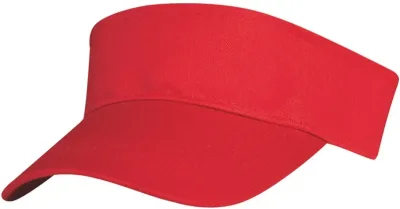 Visors