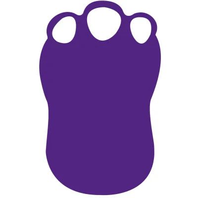 Foam Hands/Wavers